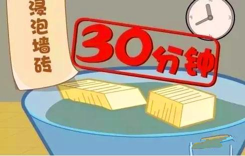 糖心APP污视频