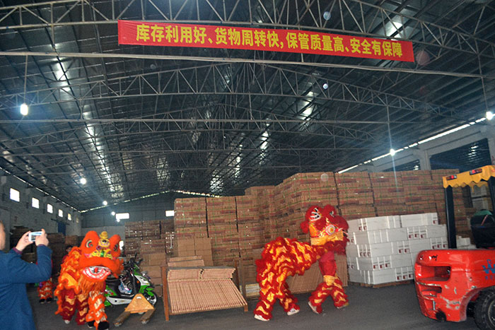 糖心LOGO柚子猫陶新年开工，2017撸起袖子拼命干！