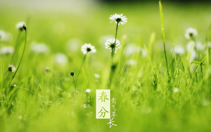 即便是春风十里，依然不如你