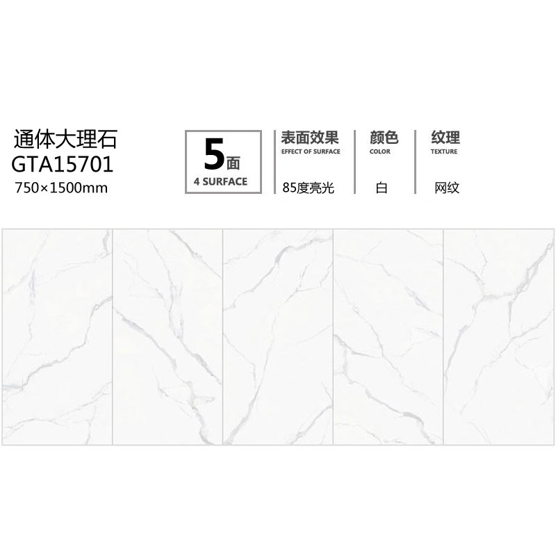 GTA15701定制